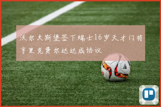 沃尔夫斯堡签下瑞士16岁天才门将亨里克费尔达达成协议